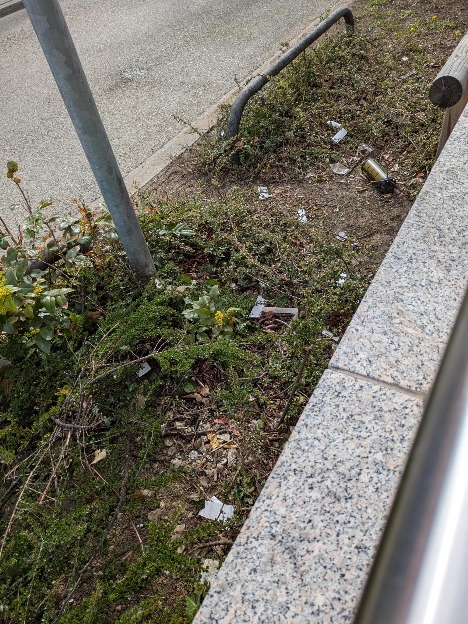 Ein vermüllter Grünstreifen